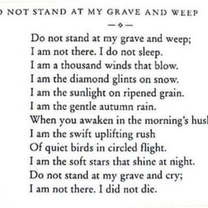 stanley grace Gallery