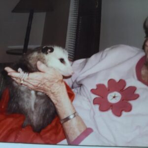 lara-lee waggoner Gallery