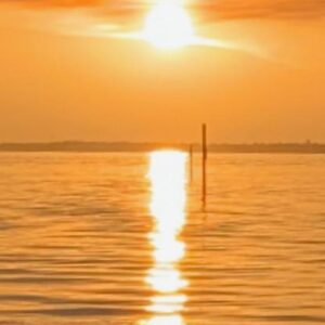 lemmie knight Gallery