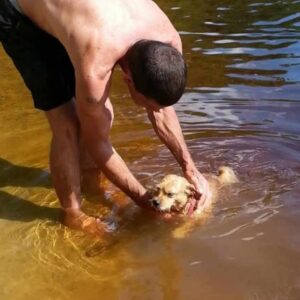 james sheppard Gallery