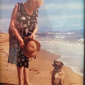 barbara seddon Gallery