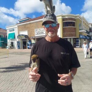 vincent trivison Gallery