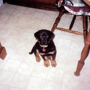 esther ivers Gallery