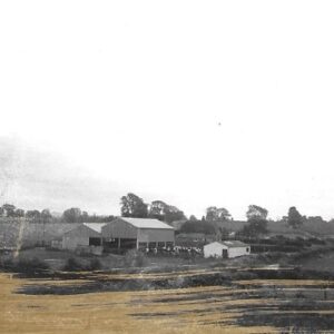 charles vogel Gallery