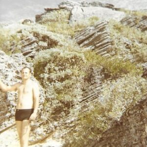 charles vogel Gallery