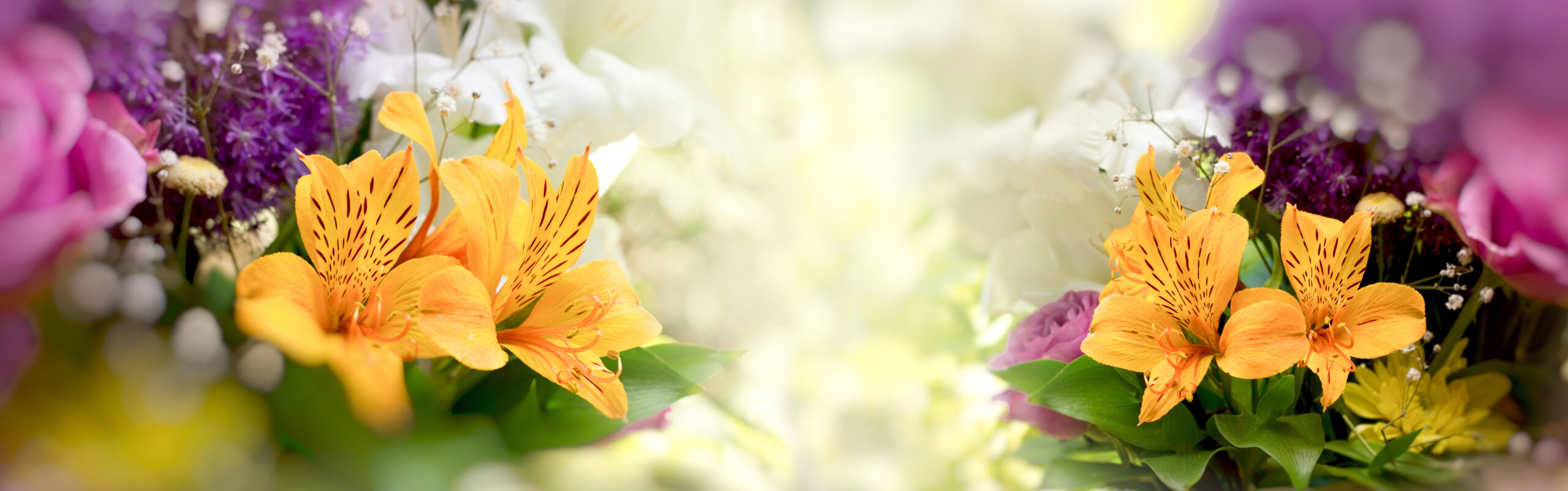 Obituary-img